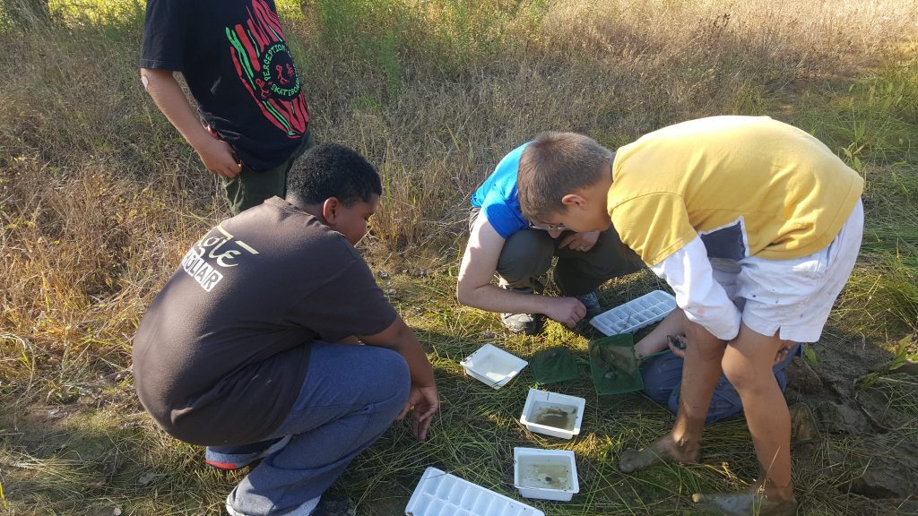 inspecting-our-catch