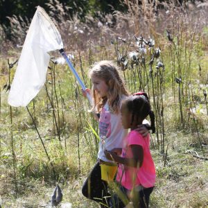 girls with butterfly net