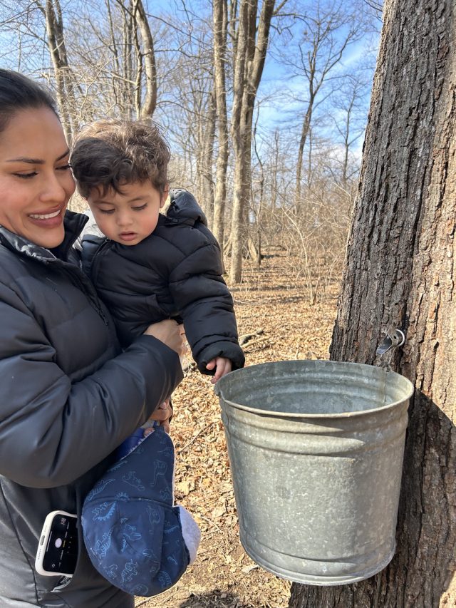 sap bucket